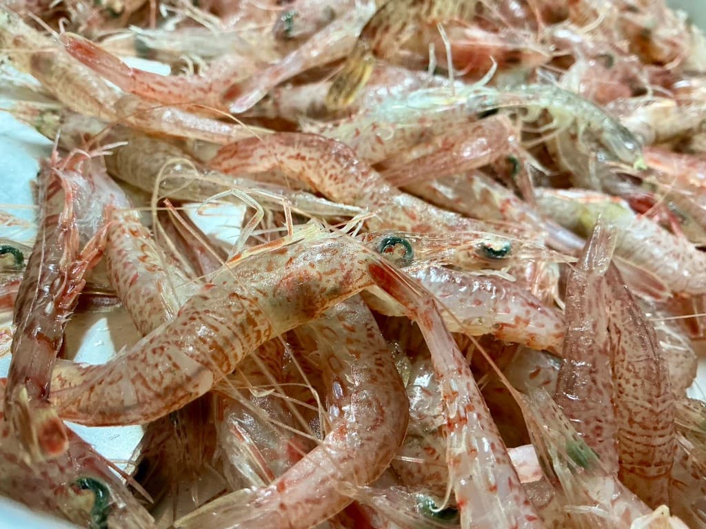 新鮮なエビ